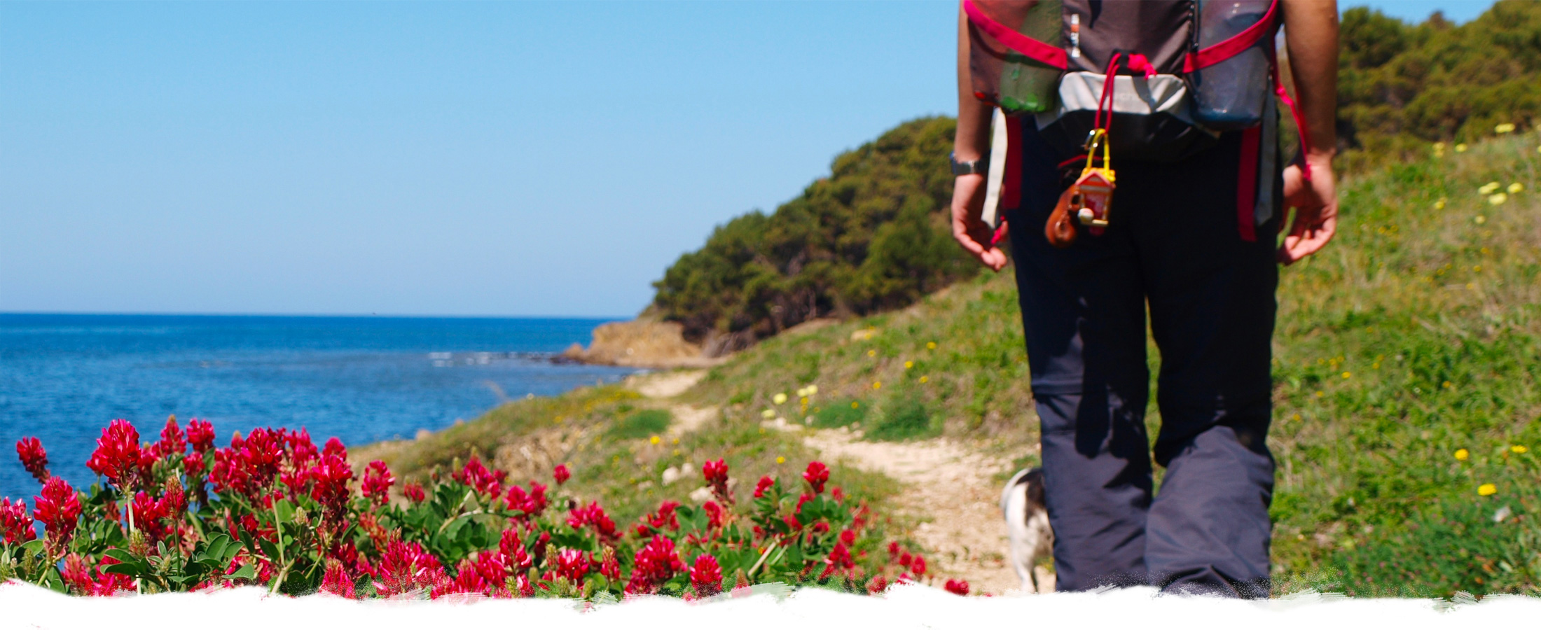 campania viaggi slider